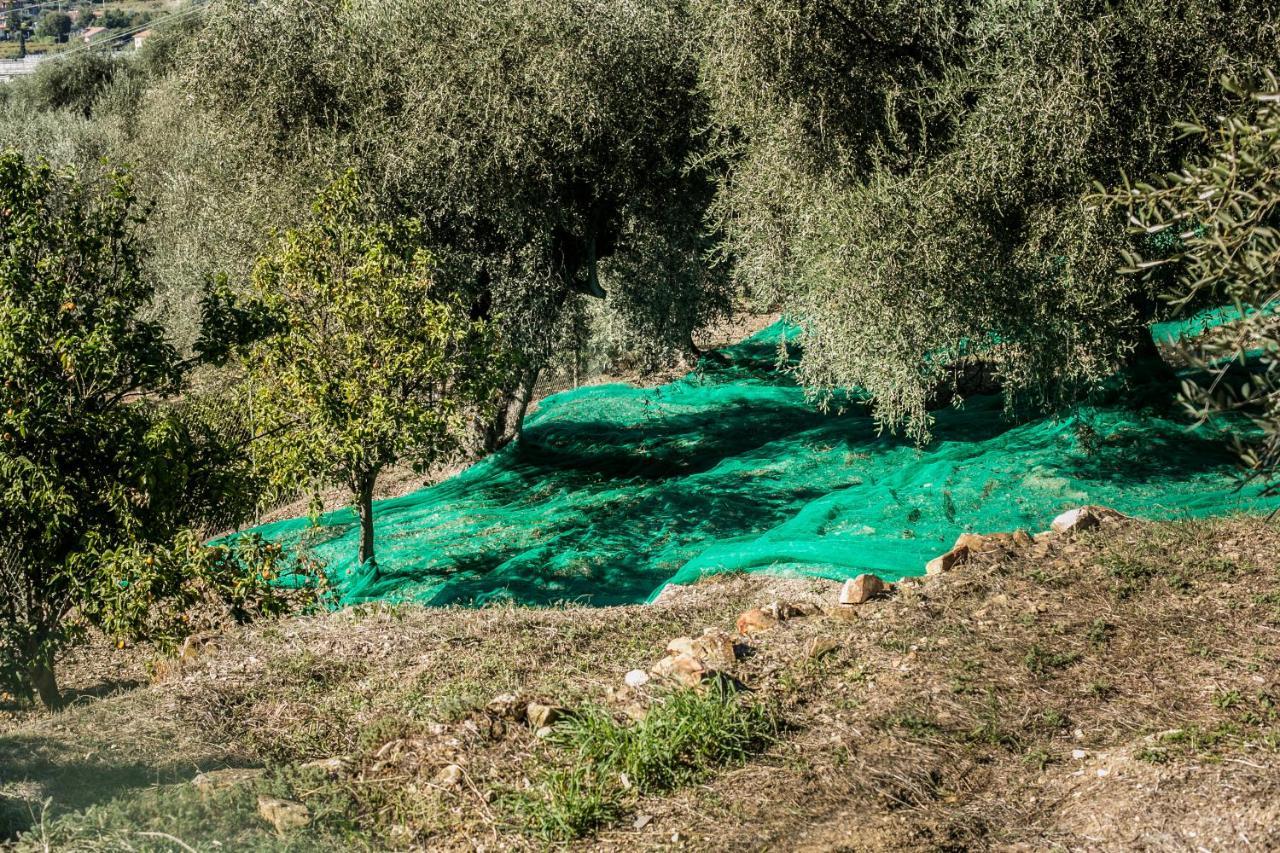 فندق Onegliaفي  Le Raganelle المظهر الخارجي الصورة